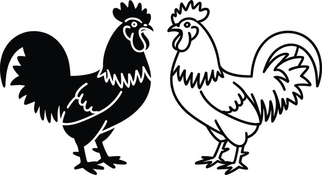 Rooster chicken poultry bird vector illustration, Rooster chicken poultry bird icon set