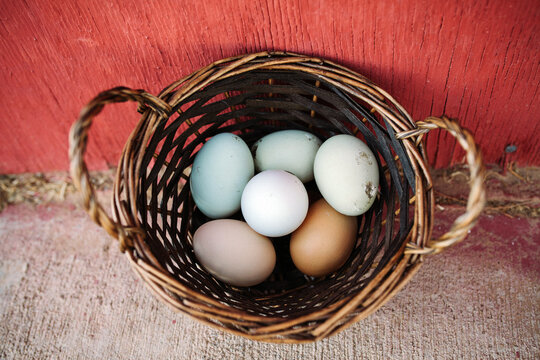 eggs in a basket