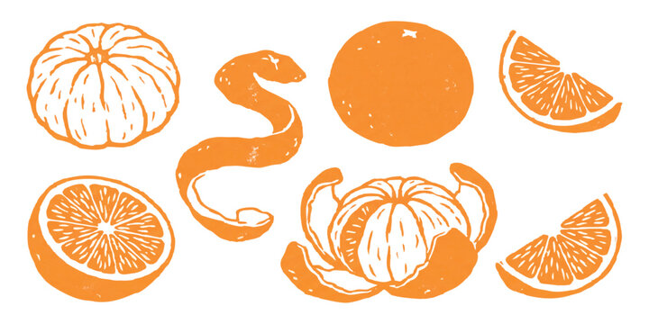 Fresh orange fruit collection with whole pieces slices and peeled segments in a simple flat vector style