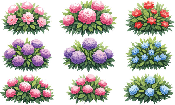 Vibrant Colorful Flower Bush and Hydrangea Shrub Vector Set with Pink Purple Red and Blue Blossoms for Garden Landscape and Backyard Nature Designs