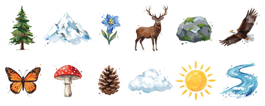Nature elements icons set. Wildlife and landscape concept. Includes pine tree, mountain, flower, deer, rock, eagle, butterfly, mushroom, pinecone, cloud, sun, river. Watercolor style