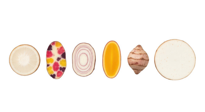 Set of various fresh tropical fruits and root vegetables