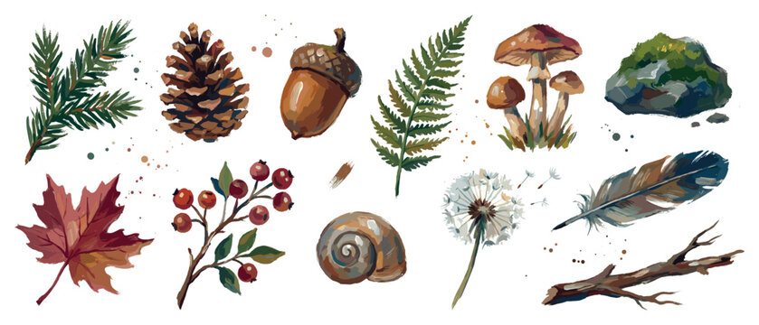 Forest nature icons set. Autumn and woodland elements concept. Includes pine branch, pine cone, acorn, fern, mushroom, mossy rock, maple leaf, berries, snail shell, dandelion, feather, tree