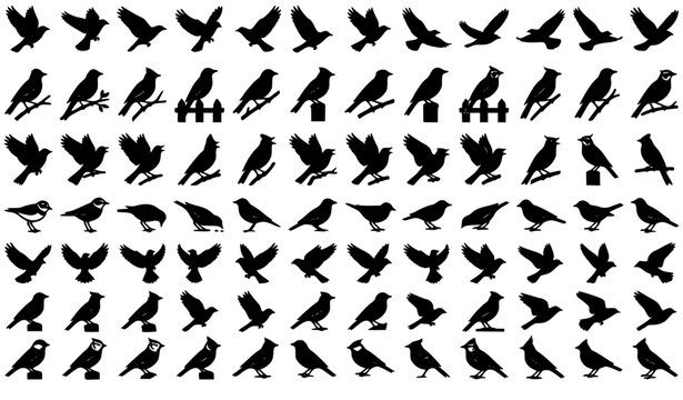 Lark Bird Silhouette Collection with Flying Songbirds and Wildlife Vector Graphics