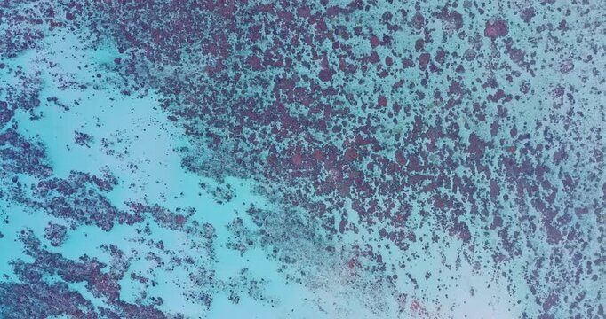 Aerial View of Exotic Beach Landscape in Phang Nga. Scenic drone panorama of a tropical coastline with crystal clear seawater and vibrant coral formations along Mai Ngam Beach, Thailand.