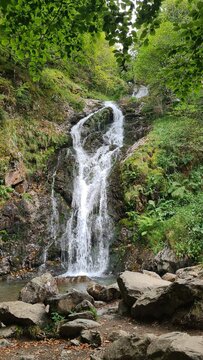 La cascade de Latien, l'une des plus belles cascades du chemin d'Espagne (vall&eacute;e d'Oss&egrave;se, parc naturel r&eacute;gional des Pyr&eacute;n&eacute;es ari&eacute;geoises)