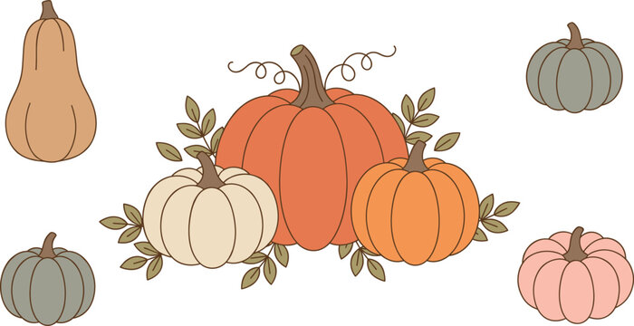 Autumn pumpkin vector set with colorful squash gourd and fall leaves elements isolated on white background for Thanksgiving and Halloween designs