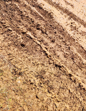 Muddy ground marked by tire tracks from passing cars and motorcycles, captured on a bright sunny day, highlighting challenging road conditions, soil texture, and the contrast between wet terrain and c