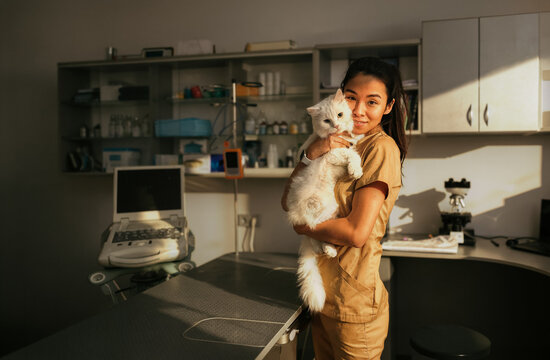 Bright natural sunlight streams across a modern veterinary room as a young female vet tech in tan scrubs stands holding a large fluffy white cat against her chest, looking directly at the camera