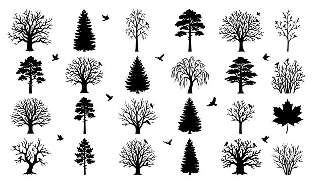 Mixed forest tree silhouettes collection with deciduous and evergreen species isolated vector illustration set