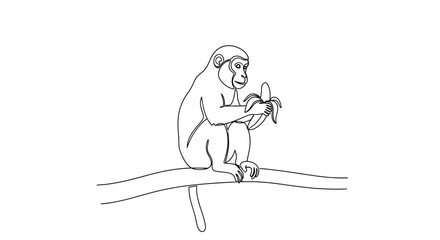 Fototapeta premium Monkey sitting on a branch holding a peeled banana vector
