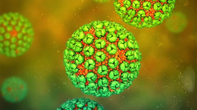 Banna virus particle, 3D animation showing icosahedral double-stranded RNA arbovirus with segmented genome, associated with mosquito-borne febrile illness.
