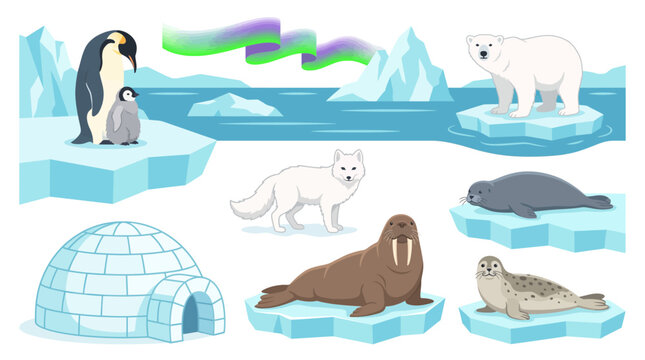 Arctic polar animals collection with penguin polar bear igloo northern lights and ice landscape vector set