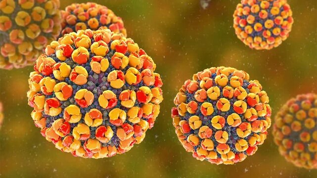 Banna virus particle, 3D animation showing icosahedral double-stranded RNA arbovirus with segmented genome, associated with mosquito-borne febrile illness.