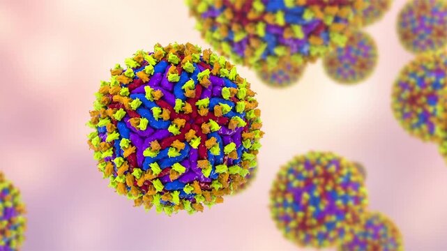 Dengue virus bound with neutralizing human antibodies, 3D animation showing flavivirus particles coated by immunoglobulins, illustrating antiviral immune response.