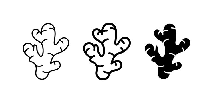 Ginger Root Icons, Outline and Silhouette, Culinary Ingredient Graphics