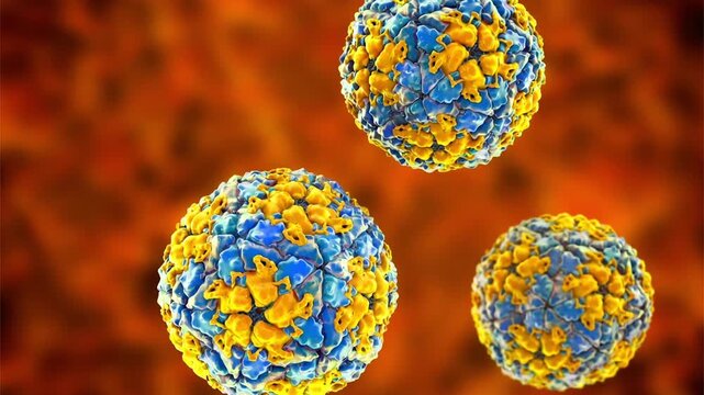 Foot-and-mouth disease virus (FMDV), 3D animation showing viral particles, a highly contagious RNA virus causing severe disease in cloven-hoofed animals like cattle, pigs, sheep, and goats.