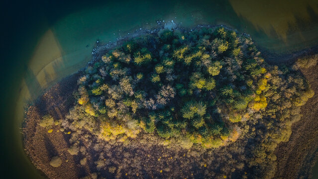 Aerial view of Lac de l'Abbaye featuring a dense forested island surrounded by calm lake waters with autumn foliage and shadows in Grande-Riviere Chateau, Bourgogne-Franche-Comte, France.