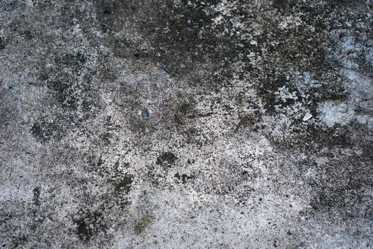 Weathered concrete surface, stained with moss and grime