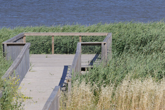 Salgados trail wooden boardwalk wetland landscape