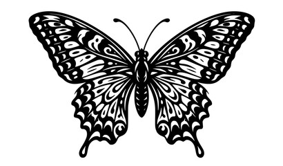 Detailed Decorative Butterfly with Ornamental Wings Symmetrical Nature Insect Black and White Vector Illustration © Madhobe