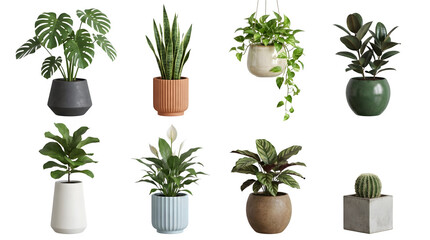 Fototapeta premium Eight different potted plants on a transparent background