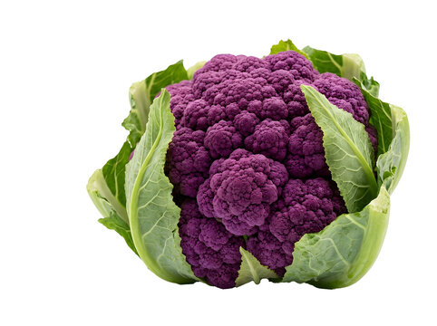 cauliflower isolated on white background