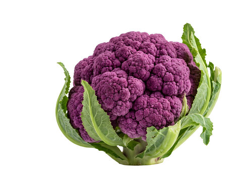 cauliflower isolated on white background