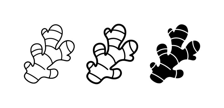 Ginger Root Icons, Simple Line Art and Silhouette, Culinary Spice Graphics