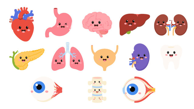 Cute cartoon human internal organs and body parts vector set