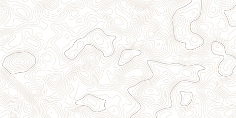 Abstract white topographic contour map background with soft beige contour elevations, seamless geographic terrain texture, fluid organic curves and clean contemporary landscape design pattern © Mirror