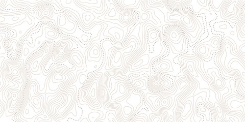 Abstract white topographic contour map background with light beige elevation contours, flowing organic terrain lines, seamless geographic relief pattern and contemporary minimalist design © Mirror