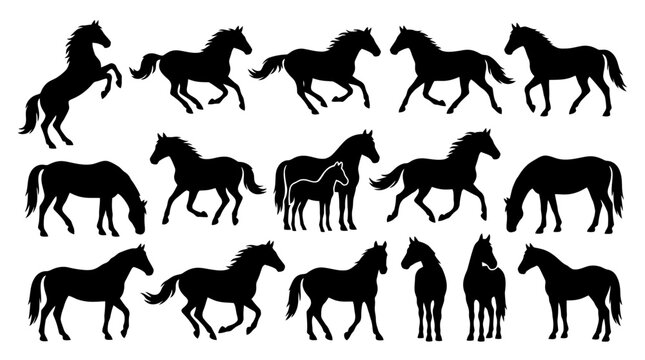 Collection of horse silhouettes in various poses.