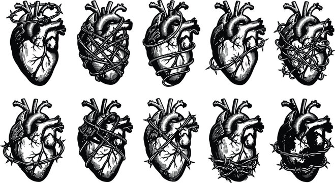 Anatomical human heart icons wrapped in sharp barbed wire in detailed vintage engraving art style