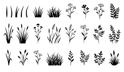 Wild Meadow Grassland Silhouette Collection Green Botanical Vector Set © Shapla
