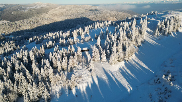 Aerial view of the snow-covered pine forest and ski slopes at Col de la Faucille, Gex, Auvergne-Rhone-Alpes, France.