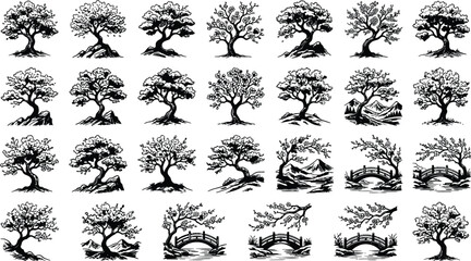 Fototapeta premium Set of hand drawn bonsai tree illustrations featuring various shapes and oriental wooden bridge designs