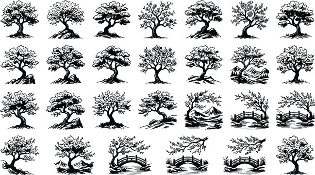 Set of hand drawn bonsai tree illustrations featuring various shapes and oriental wooden bridge designs