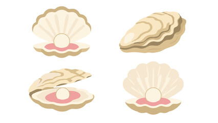 Cartoon oyster shells with pearls isolated on white background © icon_art