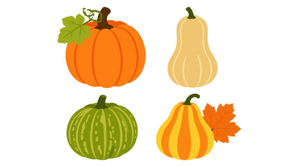 Obraz premium Cartoon pumpkins and squash with autumn leaves set