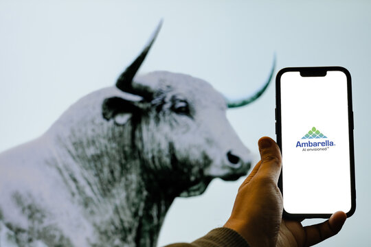 Ambarella Semiconductor Company Developing AI Vision Processors, Edge Computing, Automotive ADAS, Security Cameras, Robotics, and Computer Vision Solutions