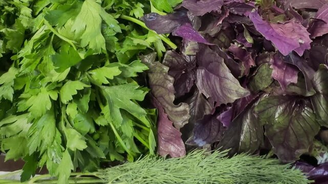Fresh basil, parsley, dill bunches and a crate of ripe strawberries on the table, bright colors, garden aroma, candid authentic life.