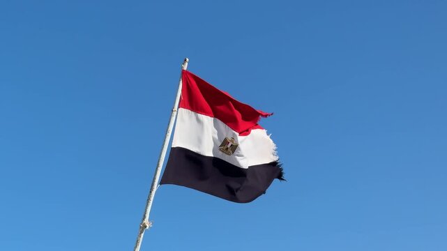 Egyptian flag waving against blue windy sky, red, white, black, eagle emblem, patriotic national symbol.