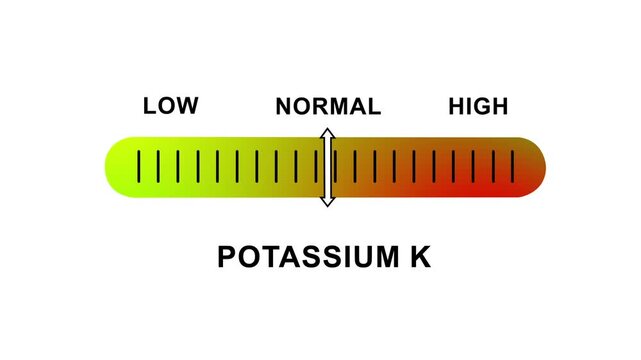 Dynamic potassium k level indicator gauge animation showing low to mineral deficiency and excess levels for medical health analysis, nutrition science, clinical diagnostics, and wellness monitoring