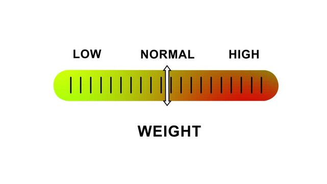 Dynamic weight scale indicator featuring a moving slider transitioning smoothly from low to normal and settings for interactive digital interfaces, data visualization, and user experience