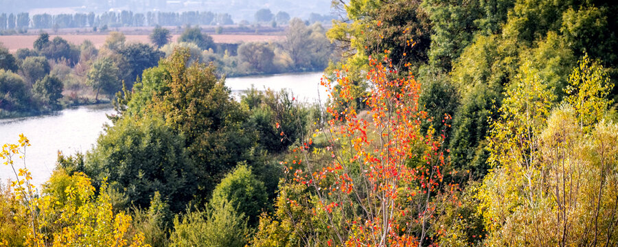 Panoramic autumn landscape with river and colorful trees on riverbank on sunny day, nature of Ukraine