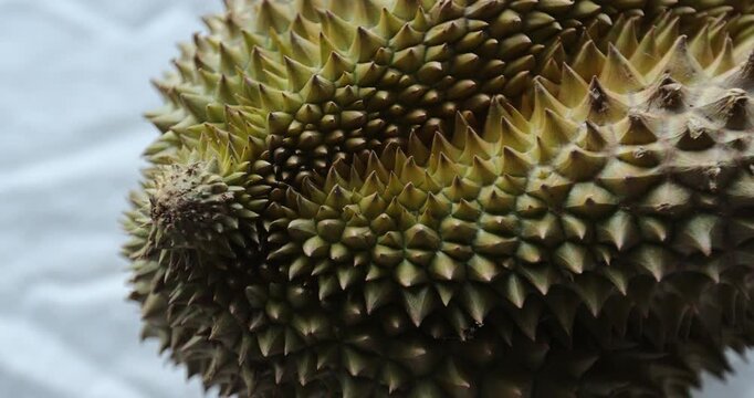 A fresh ripe durian  