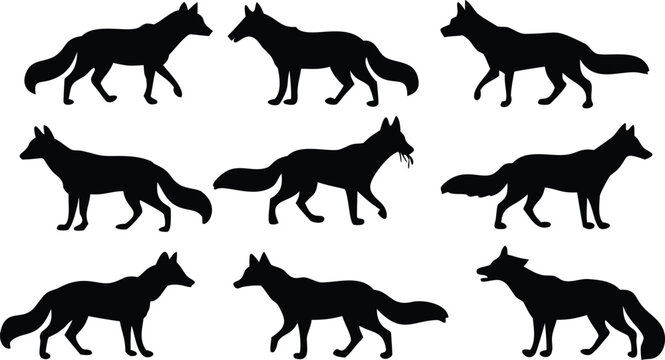 Vector art of set of fox silhouettes in different positions, capturing the essence of this cunning and adaptable creature in black and white