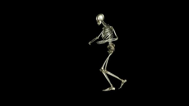 Golden human skeleton performing dance moves in digital motion clip