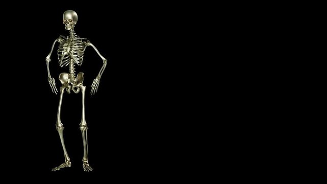 Human skeleton Dancing animation performing a realistic stride motion video clip